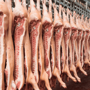 Frozen Pork Supplier